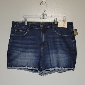 A.N.A New Approach Women's Dark Denim Mid-Rise Frayed Hem Shortie Shorts Sz 18